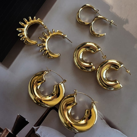 Earrings